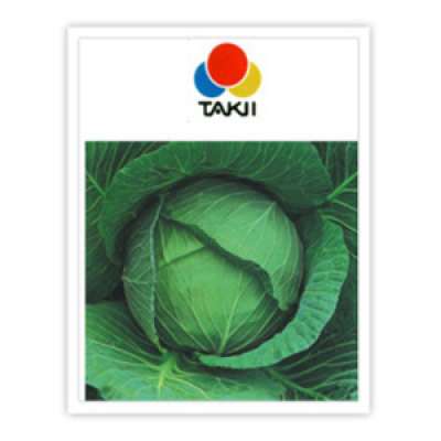 Takki: Green Cornet