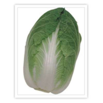 Takii: Cabbage Hero