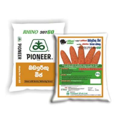 Pioneer Rhino – 30T60