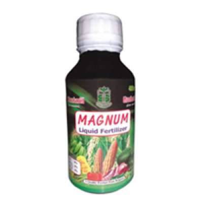 Magnum