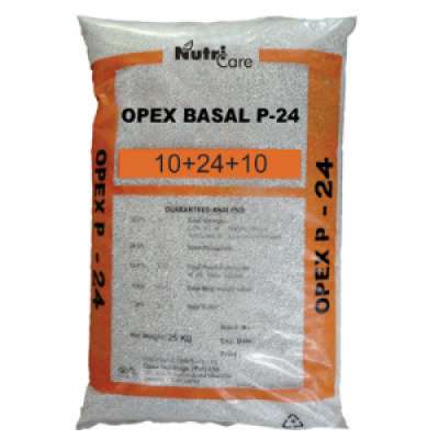 Opex Basal P24